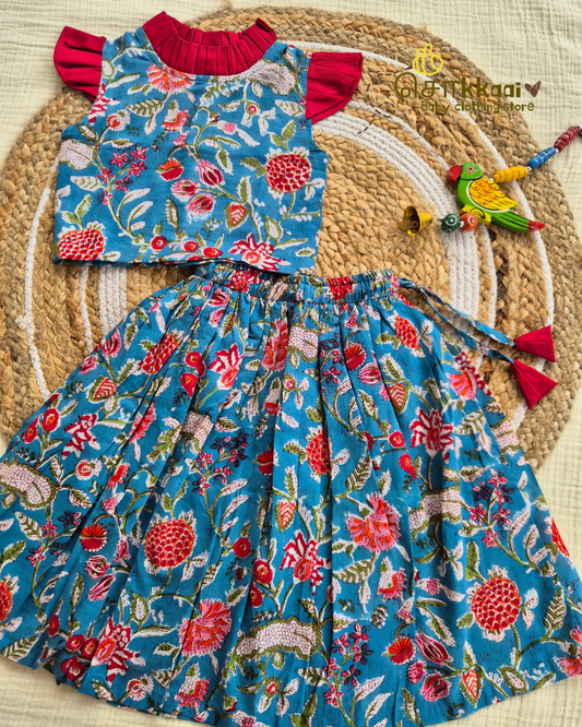 Blue Blossom Skirt and Top Girls (6m-6years) - Sokkaai